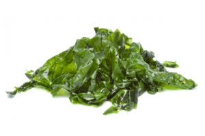 Alghe marine superalimenti