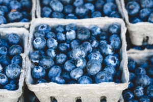 arándanos azules: propriedades y beneficios