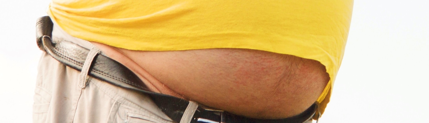 la función de la grasa abdominal
