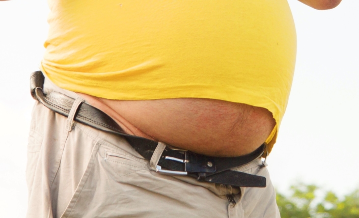 la grasa: reserva anti-hambruna la función de la grasa abdominal