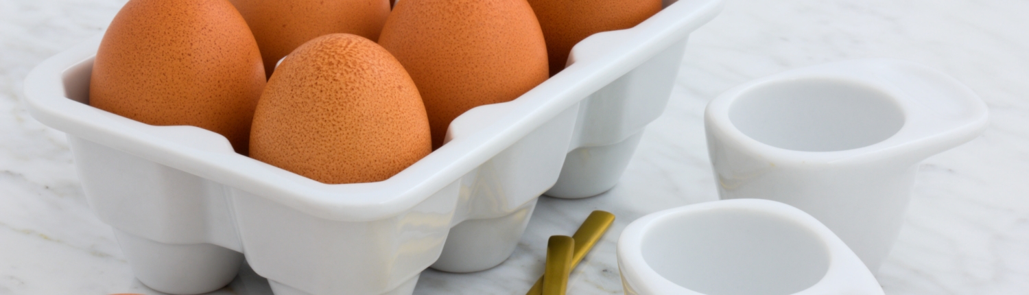 proteínas de la dieta
